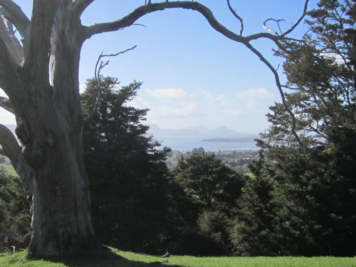 Hyecroft Lodge Whangarei Exteriér fotografie